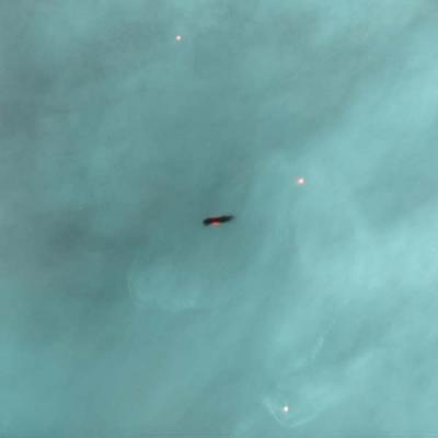 A Protoplanetary Disk Silhouetted Against the Orion Nebula