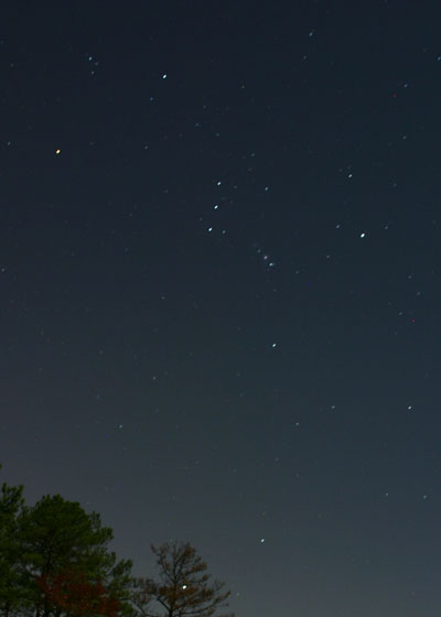 constellation Orion