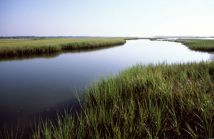 WrightsvilleChannel