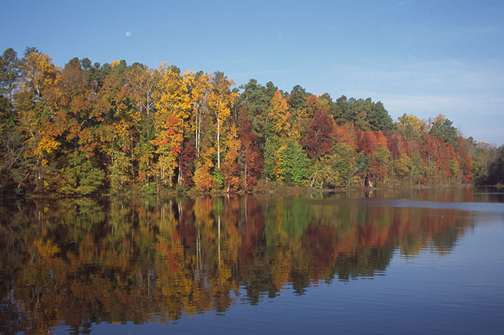 University Lake in autumn