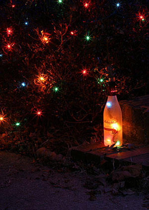 christmas lights & wine bottle