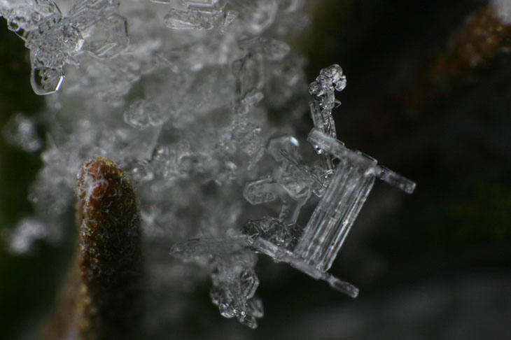 columnar crystal bookended with classic snowflakes