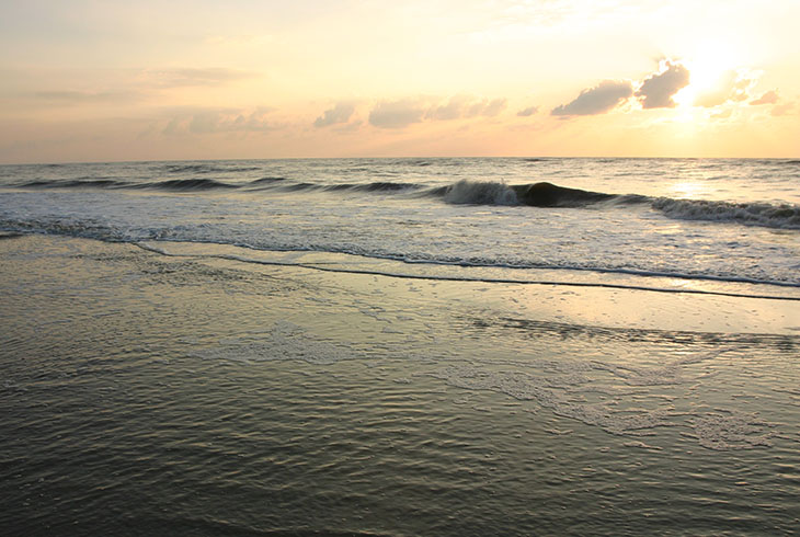 beach curlers at sunrise