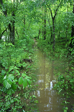 flooded footpath