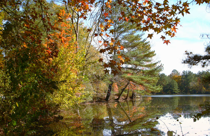 autumn colors on reflecting pond