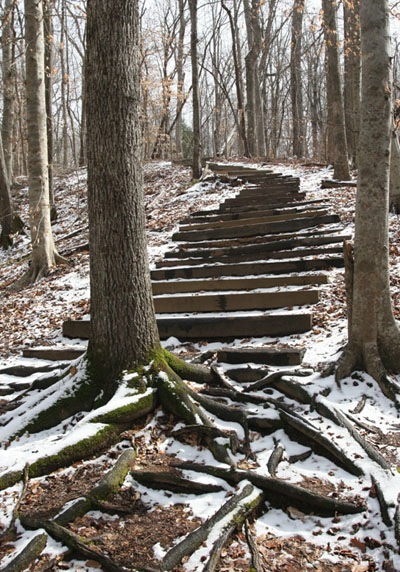 forest trail steps in winter