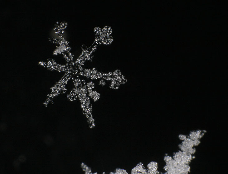 snowflake with pebble texture