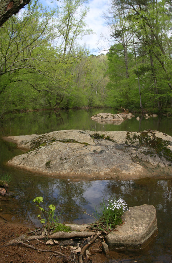 New Hope Creek in Duke Forest
