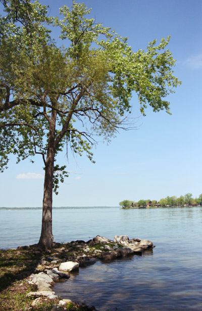 Cayuga Lake at Union Springs, The Briars