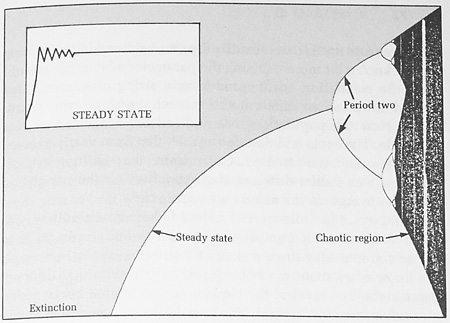 graph from pg 71 of Chaos by James Gleick