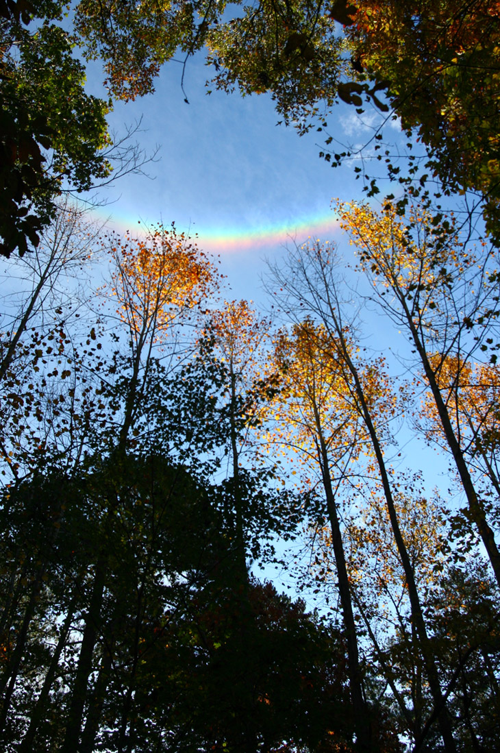 circumzenithal arc over autumn colors