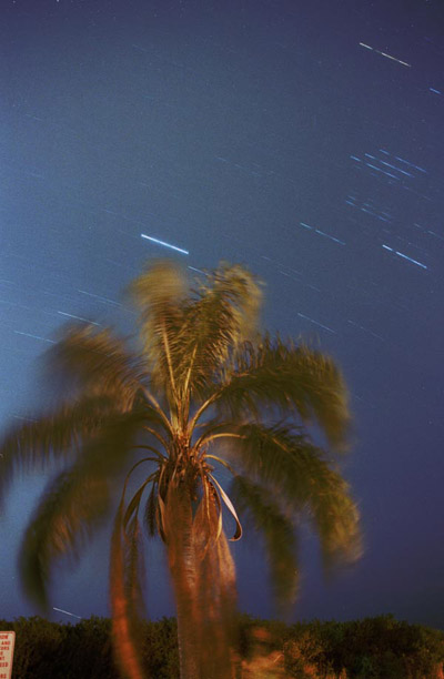long exposure over windy palm
