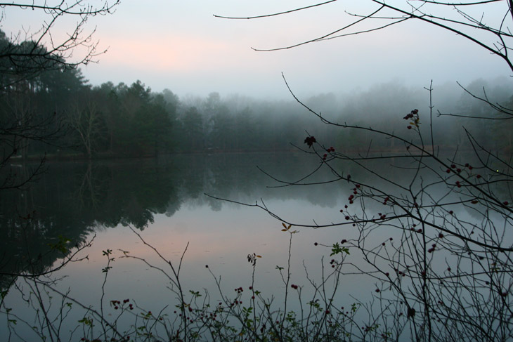 fog over nearby pond