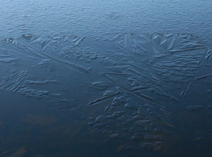 ice patterns on freezing pond