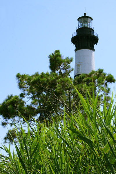 Bodie Island lighthouse, NC, framed against tree and marsh reeds