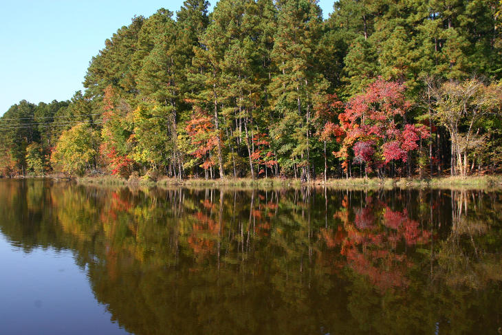 A hint of fall colors on University Lake