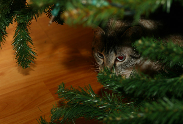 Little Girl under the tree