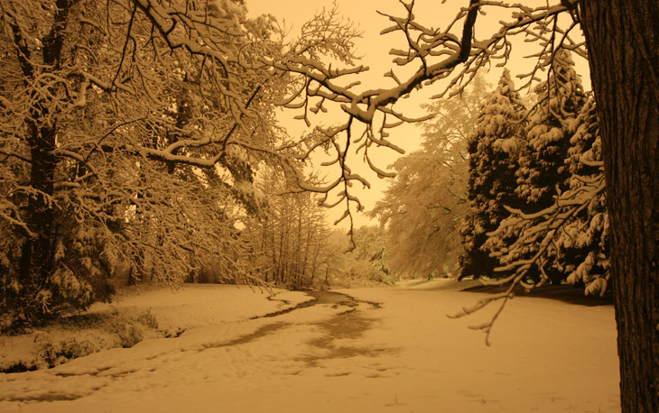 Night snow exposure showing light pollution