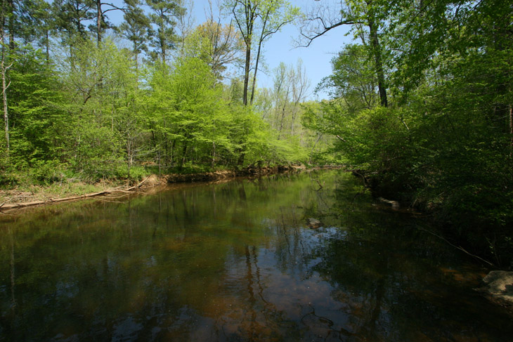 New Hope Creek in Duke Forest