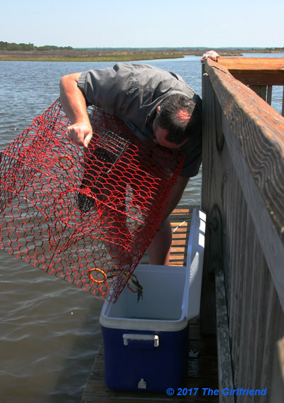 The "author" emptying a crab pot