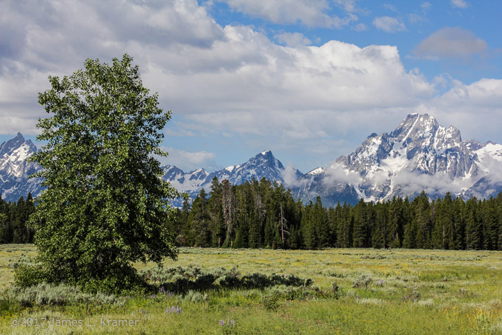 Grand Tetons in Wyoming in distance across prairie