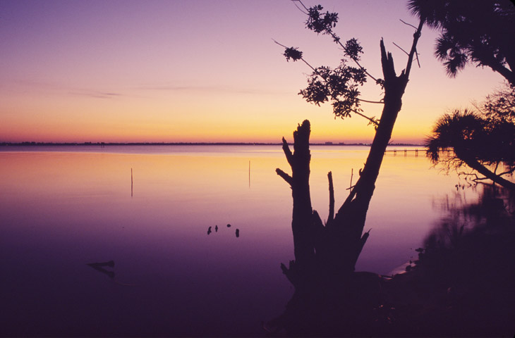 pre-sunrise on old stomping grounds Indian River Lagoon, Florida