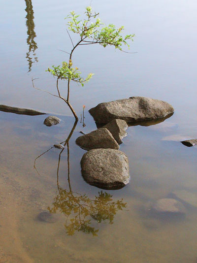 variable reflections and framing