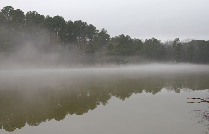 early evening fog over pond