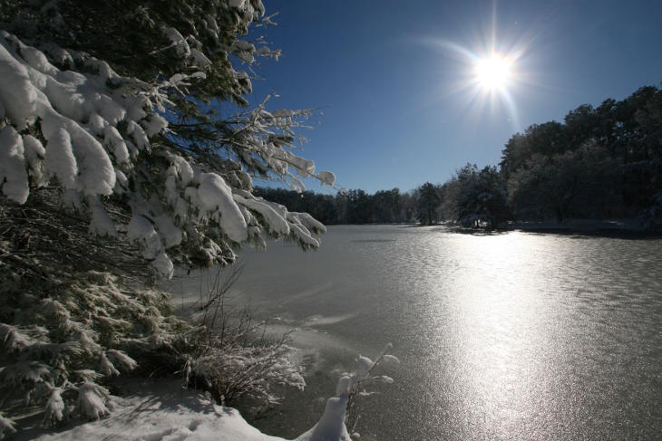 bright sun over frozen pond