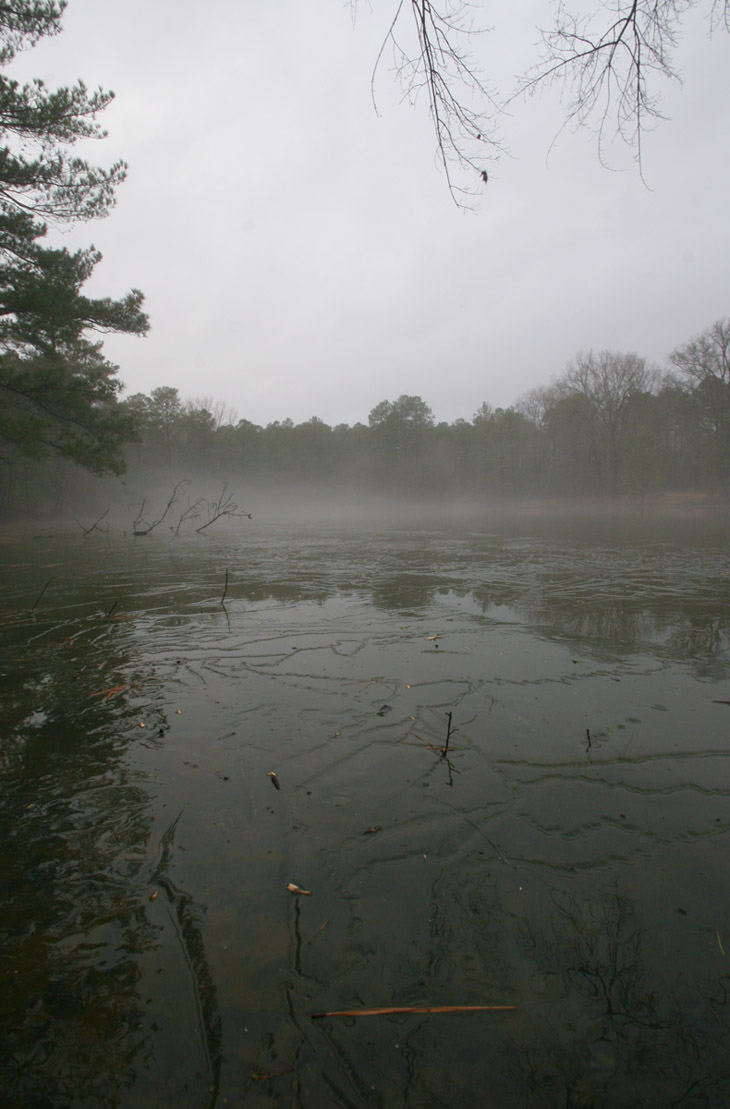 remaining ice on foggy pond