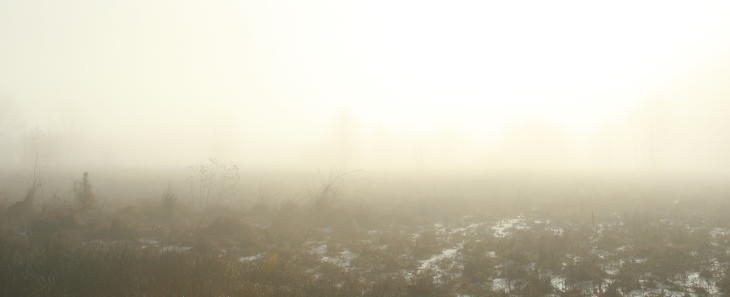 deep sunrise fog across field