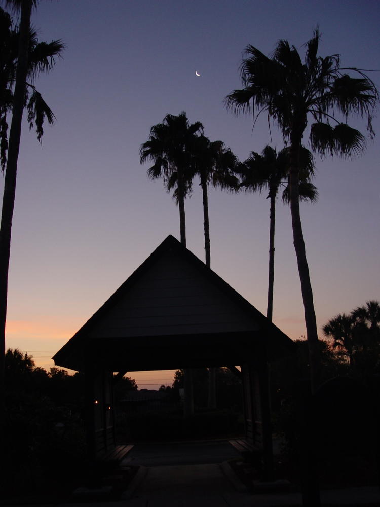 Crescent moon at sunset over shelter and palms