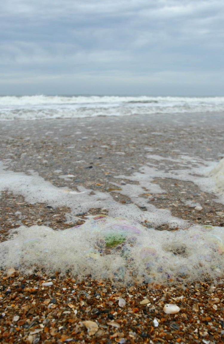 seafom on a grey day at Topsail Island