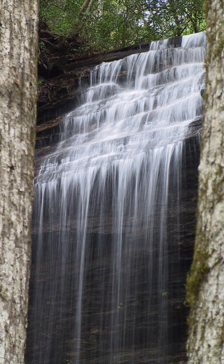 Moore Cove Falls in Brevard County, NC, framed between two trees