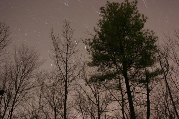 night time exposure showing star trails