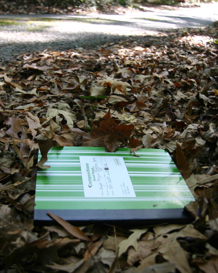 composition notepad along side of forest road