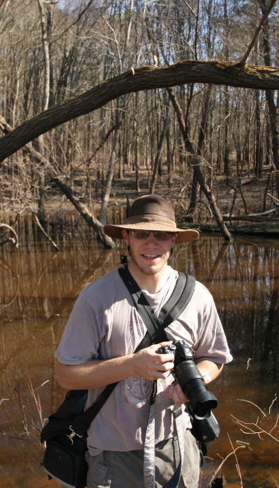 Al Bugg standing under American beaver Castor canadensis damage on limb over his head