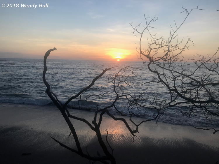 stray branch on beach during sunset at Costa Rica, by Wendy Hall