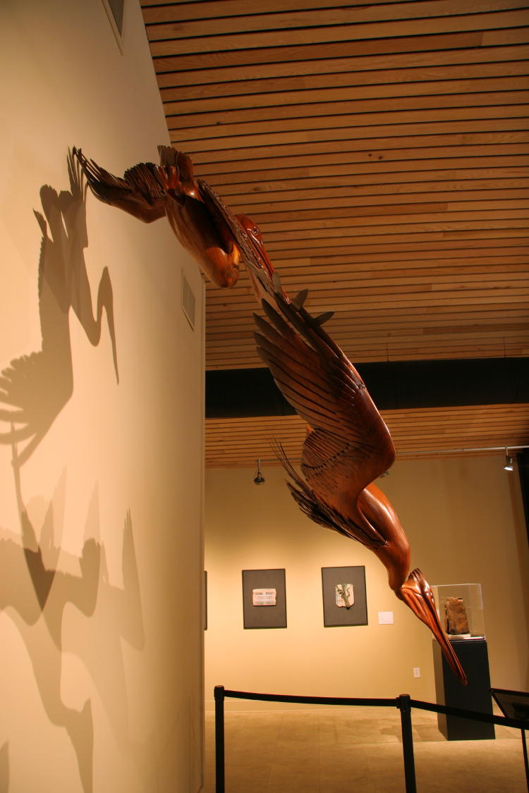 Flying Brown Pelicans by Grainger McKoy