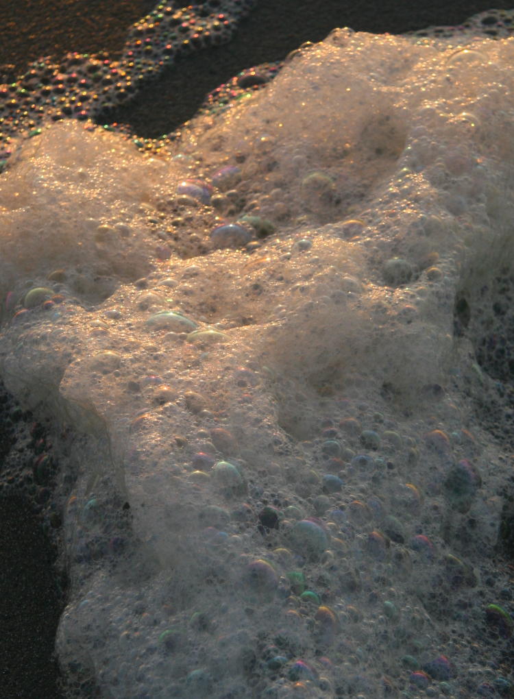 erly sunlight refracting from seafoam