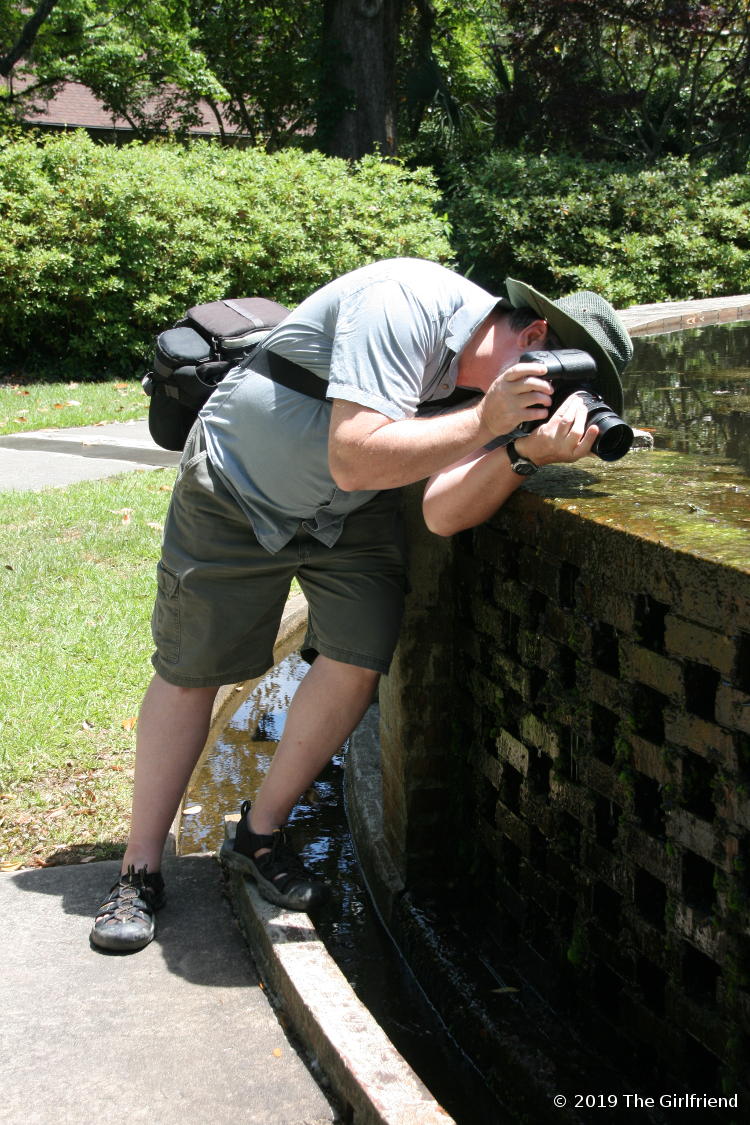 the author in Brookgreen Gardens ignoring statues for a frog, photo by The Girlfriend