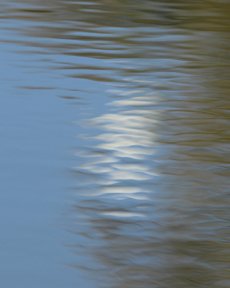 something reflected in the water