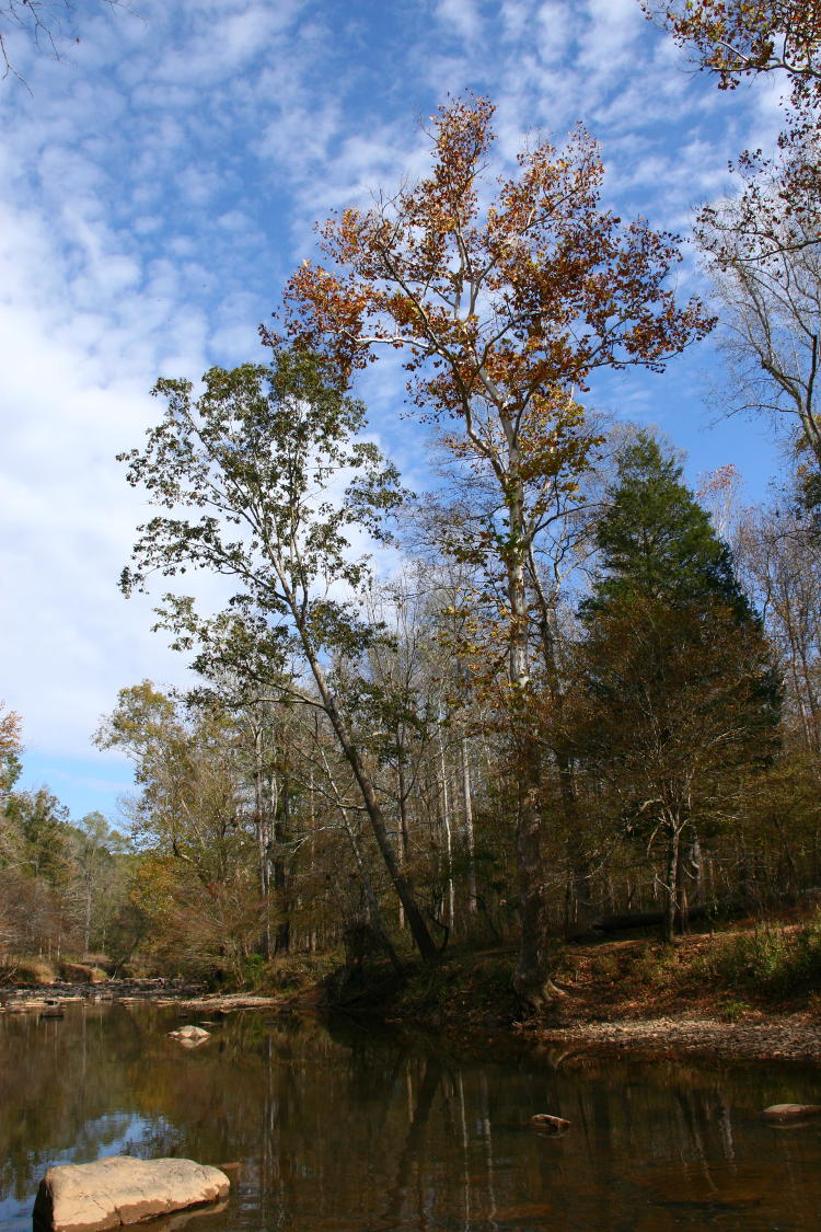 faintest hint of autumn color