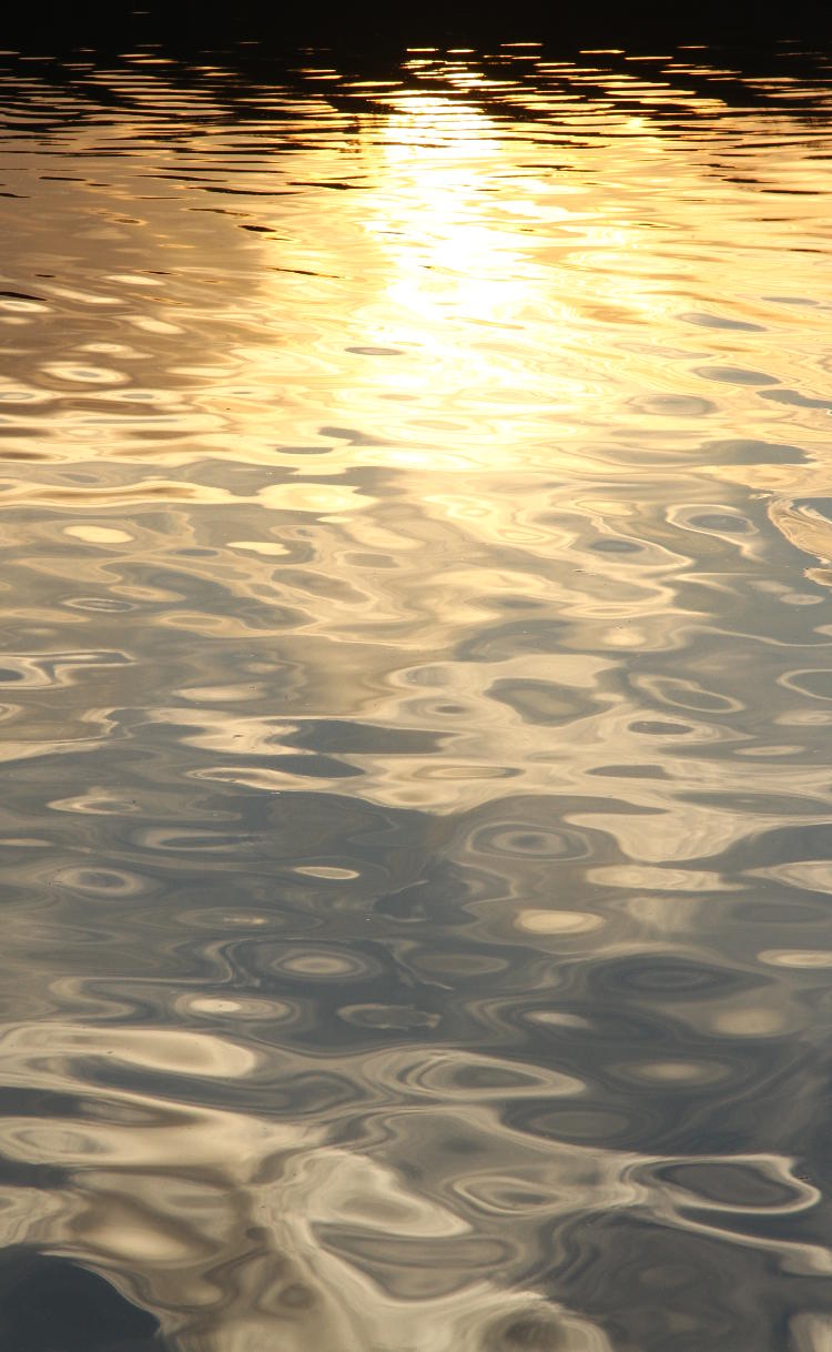 sunset colors in water reflections