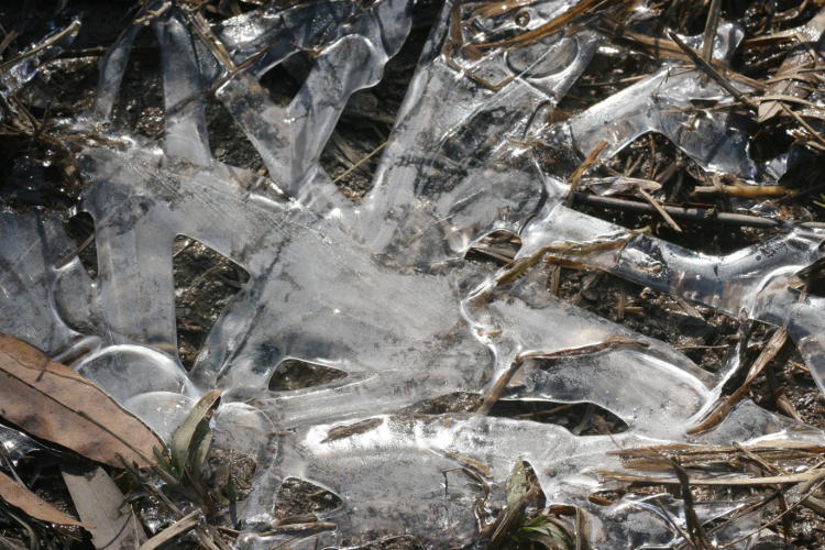 ice patterns from frozen flood zone