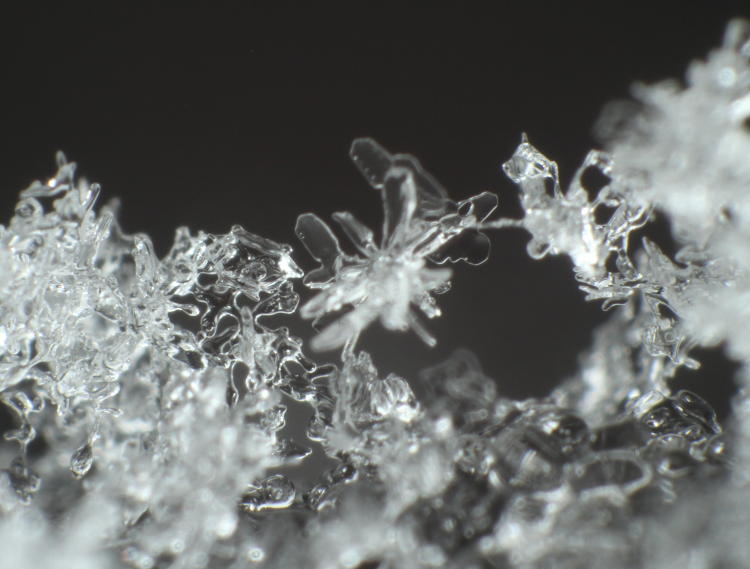 snow crystals without too much form