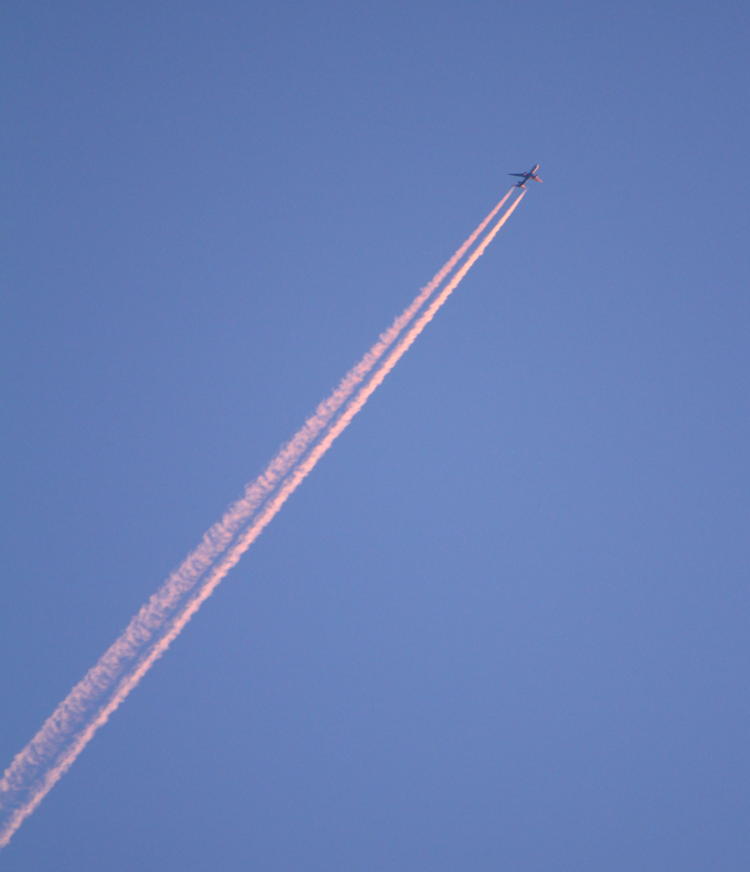 jet and contrail lit by sunset