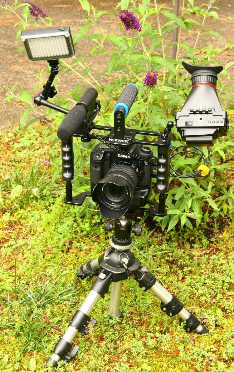 DSLR macro video rig of author's