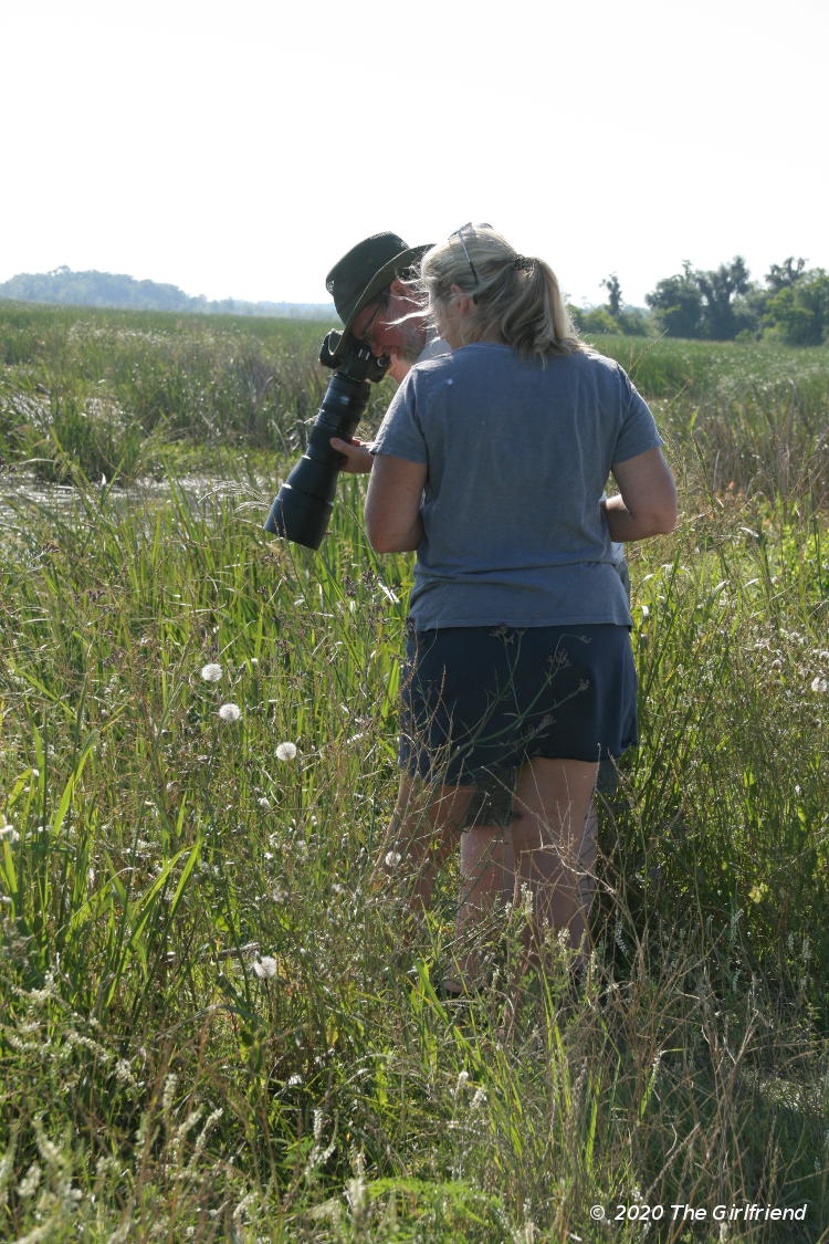 Wendy Hall and author photographing small gator at bottom of retaining wall, by The Girlfriend