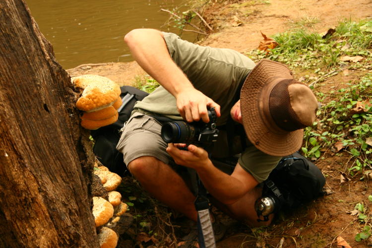 Buggarino getting the undersides of mushrooms - definitely not chimping